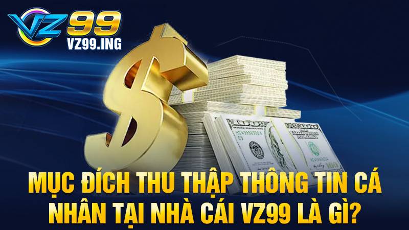 VZ99 thu thập thông tin người chơi để làm gì?